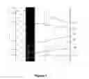 Fig. 02 - Wavelength extension for backthinned silicon image arrays