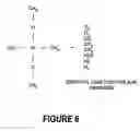 Fig. 05 - Concentration graded carbon doped oxide