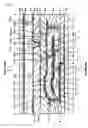 Fig. 02 - Electro-optical device with electrolytic corrosion preventing film and multiple relay electrodes