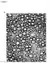 Fig. 02 - Process of producing microcapsules and product thereof