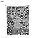 Fig. 07 - Process of producing microcapsules and product thereof