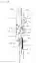 Fig. 09 - Medicine envelope feeder