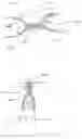 Fig. 06 - Curtain airbag and method
