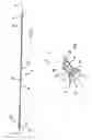 Fig. 03 - Spoke for a bicycle wheel, bicycle wheel comprising such a spoke and method for manufacturing such a spoke
