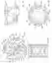Fig. 20 - Multi-axis joystick and transducer means therefore