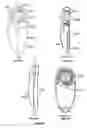 Fig. 09 - Pointing device