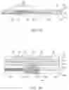 Fig. 08 - Printhead assembly