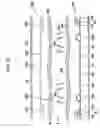 Fig. 35 - Liquid crystal display and panel therefor