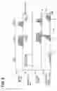 Fig. 09 - Apparatus, method, and program for generating range-image-data