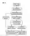 Fig. 04 - Pipeline processing of image data with a low-resolution display of intermediate results