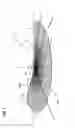 Fig. 09 - Vehicular headlamp