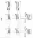 Fig. 09 - Nonvolatile semiconductor memory device with a plurality of sectors