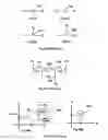 Fig. 03 - Programmable interconnect structures