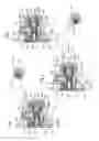 Fig. 02 - Automatic setting device