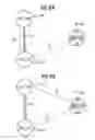 Fig. 06 - Signaling point code sharing in exchanges