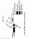Fig. 06 - Method and apparatus for setting, transmitting and receiving data for virtual carrier sensing in wireless network communication