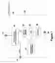 Fig. 08 - Display of video signals to subscribers