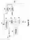Fig. 43 - Display of video signals to subscribers