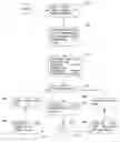 Fig. 01 - System, method, apparatus for repeating last line to scalar