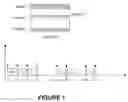 Fig. 02 - System, method, apparatus for repeating last line to scalar