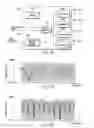 Fig. 09 - MIMO transmission and reception methods and devices