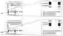 Fig. 01 - Method and apparatus for providing a splitter in a notification system