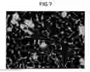 Fig. 08 - Method for supporting cell image analysis