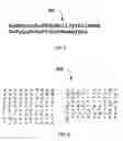 Fig. 09 - Systems and methods for biometric identification using handwriting recognition