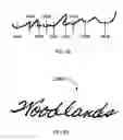 Fig. 32 - Systems and methods for biometric identification using handwriting recognition
