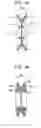 Fig. 06 - Apparatus for applying spin to optical fiber and optical fiber manufacturing method and apparatus using the same