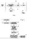 Fig. 02 - System and method for associating presented digital content within recorded digital stream and method for its playback from precise location