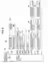 Fig. 07 - Image processing apparatus with preheating control