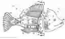 Fig. 01 - Self-propelled pool chemical dispenser