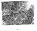 Fig. 02 - Method for opening carbon nanotubes at the ends thereof and implementation