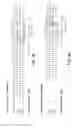 Fig. 04 - Chimeric antibody with specificity to human B cell surface antigen