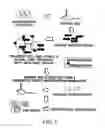 Fig. 02 - Development of DNA probes and immunological reagents specific for cell surface-expressed molecules and transformation-associated genes