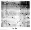 Fig. 05 - Methods of preparing gaseous precursor-filled microspheres