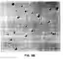 Fig. 11 - Methods of preparing gaseous precursor-filled microspheres
