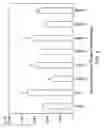 Fig. 05 - Integrin binding motif containing peptides and methods of treating skeletal diseases