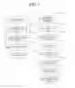 Fig. 02 - Composition and method to whiten and exfoliate skin