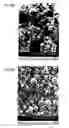 Fig. 07 - Biodegradable targetable microparticle delivery system