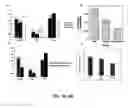 Fig. 09 - Methods and compositions related to 1-caldesmon