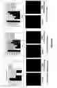 Fig. 19 - Chimeric and humanized antibodies to α5β1 integrin that modulate angiogenesis