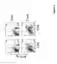 Fig. 05 - B7S1: an immune modulator