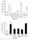 Fig. 05 - Methods and pharmaceutical compositions for dopaminergic modulation of t-cell adhesion and activity