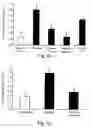Fig. 06 - Methods and pharmaceutical compositions for dopaminergic modulation of t-cell adhesion and activity