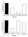 Fig. 11 - Methods and pharmaceutical compositions for dopaminergic modulation of t-cell adhesion and activity