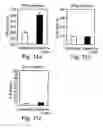 Fig. 13 - Methods and pharmaceutical compositions for dopaminergic modulation of t-cell adhesion and activity