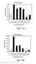 Fig. 15 - Methods and pharmaceutical compositions for dopaminergic modulation of t-cell adhesion and activity