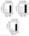 Fig. 16 - Methods and pharmaceutical compositions for dopaminergic modulation of t-cell adhesion and activity